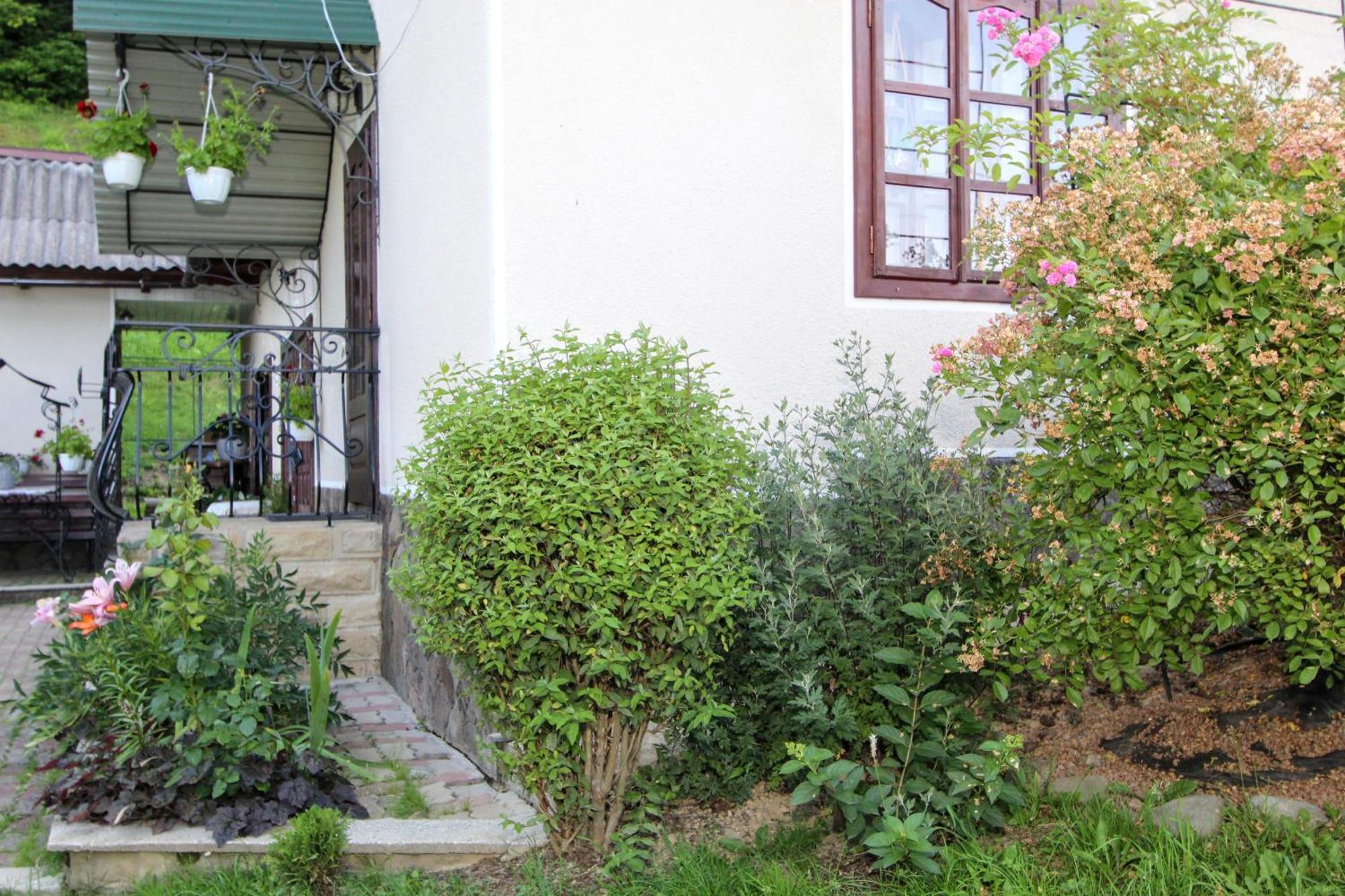 Котедж "Красний Краєвид" Jaremtje Exteriör bild