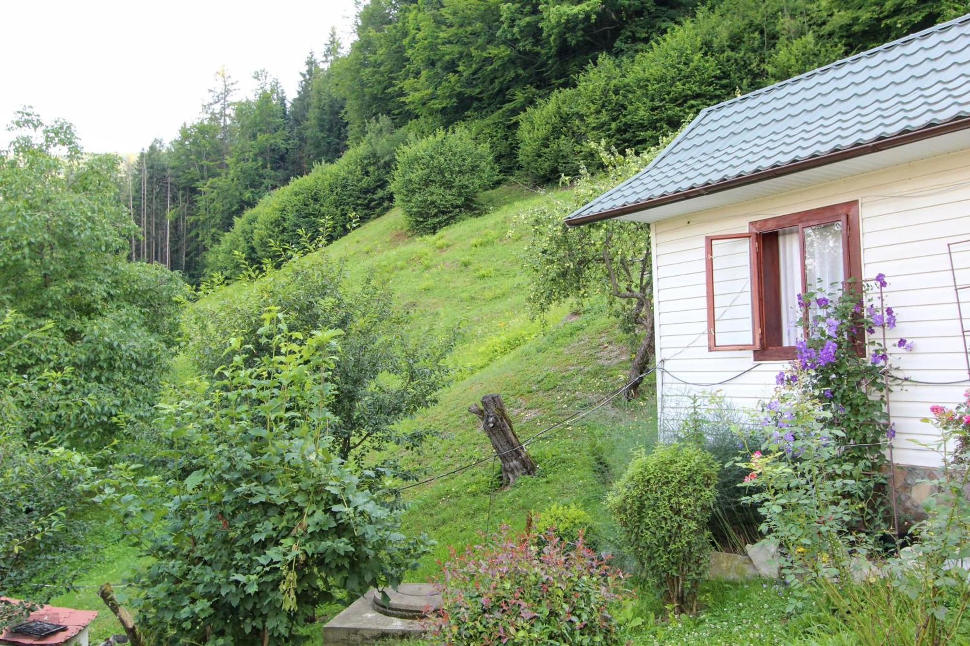 Котедж "Красний Краєвид" Jaremtje Exteriör bild